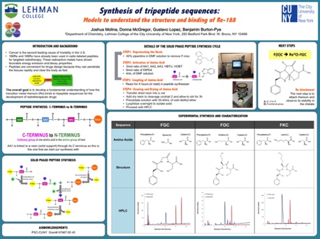 Synthesis of tripeptide sequences as models to understand structure and ending of Re-188
2017 Synthesis of tripeptide sequences as models to understand structure and ending of Re-188
2017